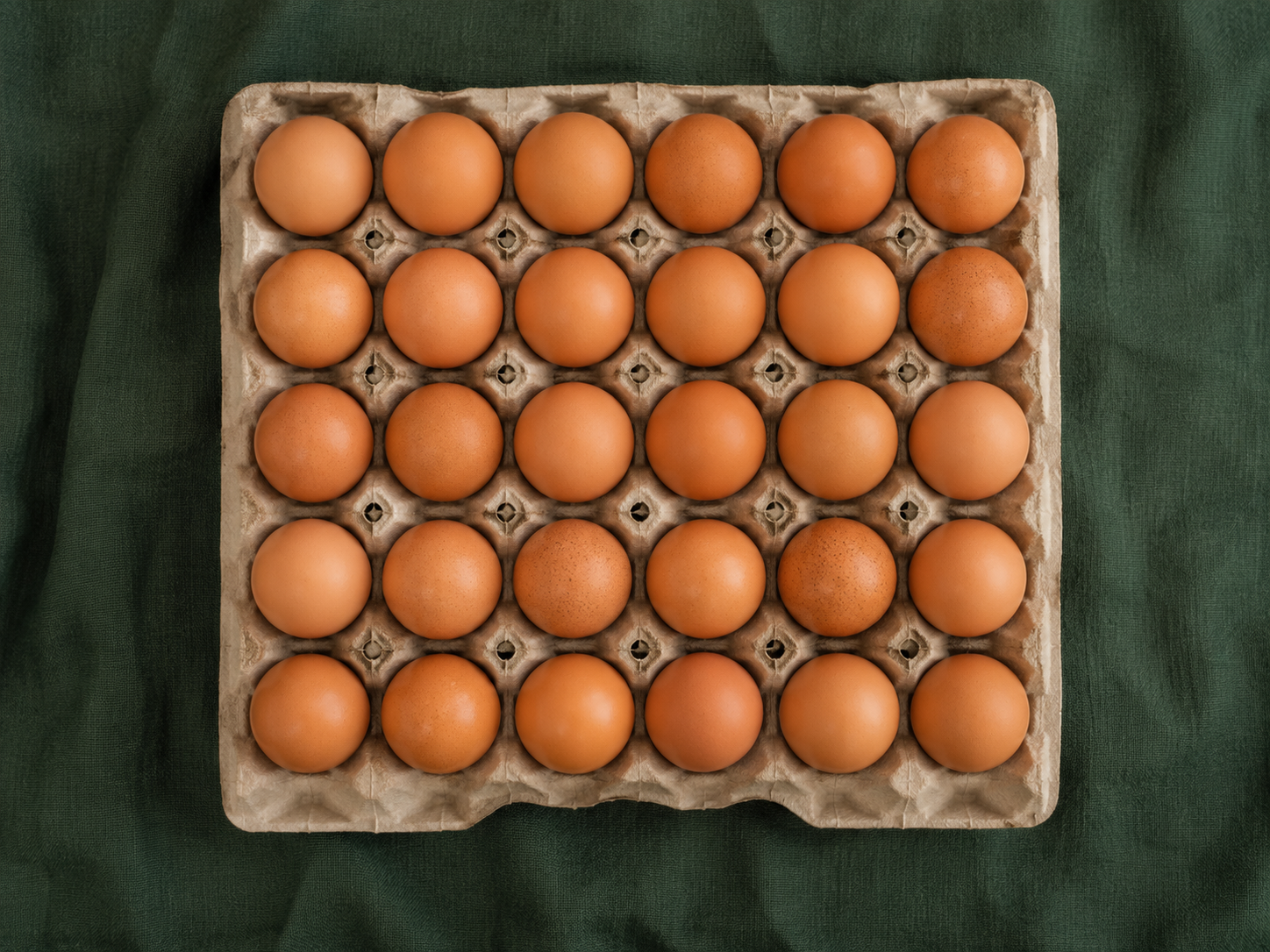 Œufs frais de ferme